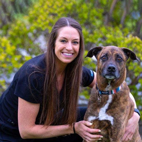 A woman with long brown hair, smiling and crouching next to a large brown and black dog with white markings on its chest. They are outdoors with greenery in the background. The dog wears a colorful striped collar and looks attentively at the camera. She could be mistaken for a veterinarian given their close bond.