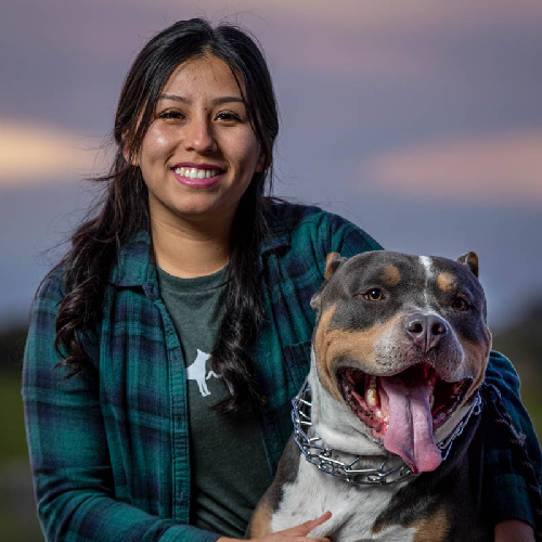 A woman with long dark hair wearing a green flannel shirt stands outside at dusk, smiling and hugging a large, happy pit bull wearing a silver chain collar. The sky behind them is a mix of purple and pink hues, capturing the serene moment between the vet and her beloved companion.