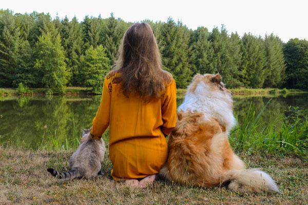A woman in a yellow dress, possibly a veterinarian, sits on the grass near a calm lake, facing away from the camera. With a cat on her left and a large dog on her right, they are surrounded by a lush forest of evergreen trees.