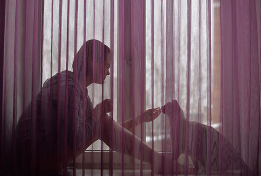 A person sits on the floor by a window, their silhouette visible through sheer purple curtains. They appear to be reaching out to a cat, as if playing or comforting it. The scene is softly lit, creating a calm and intimate atmosphere reminiscent of a tender moment between a pet and its veterinarian.
