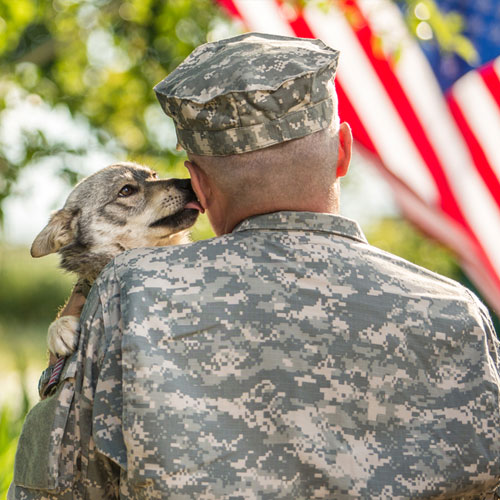 A person in military uniform embraces a dog who is licking their face. An American flag can be seen in the blurred background. The scene takes place outdoors with a sunny, natural setting, reminiscent of the close bonds shared between vets and their loyal companions.