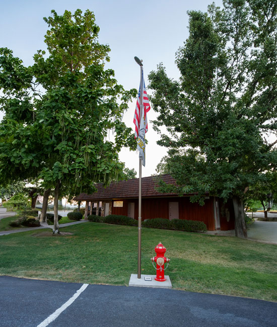 A flagpole displaying the American flag stands next to a red fire hydrant on a grassy area. The background features a brown veterinary clinic with a tiled roof and several trees. The scene is illuminated by natural daylight.