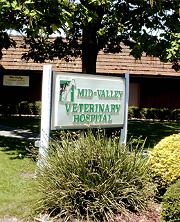 A sign reads "Mid-Valley Veterinary Hospital" in green text, with an image of a cat and dog above the text. The sign is surrounded by greenery, including bushes and a tree, with a veterinarian's building visible in the background.