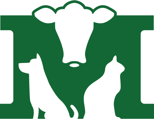 Silhouette of a cow's head above, with a dog and cat sitting below, all within a green block frame. The overall design is simple and stylized, using solid black silhouettes on a green background. Perfect for any veterinarian seeking an eye-catching yet professional logo.